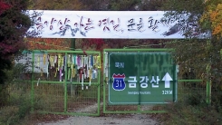 내금강 가는 길, 국도 31호선 복원 추진
