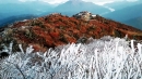 덕유산에 때 이른 서리꽃...내주 내륙도 본격 단풍꽃