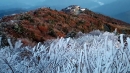 덕유산에 때 이른 서리꽃...내주 내륙도 본격 단풍꽃