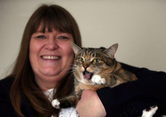 "고양이가 날 살렸다" 반려묘 덕에 유방암 발견한 여성