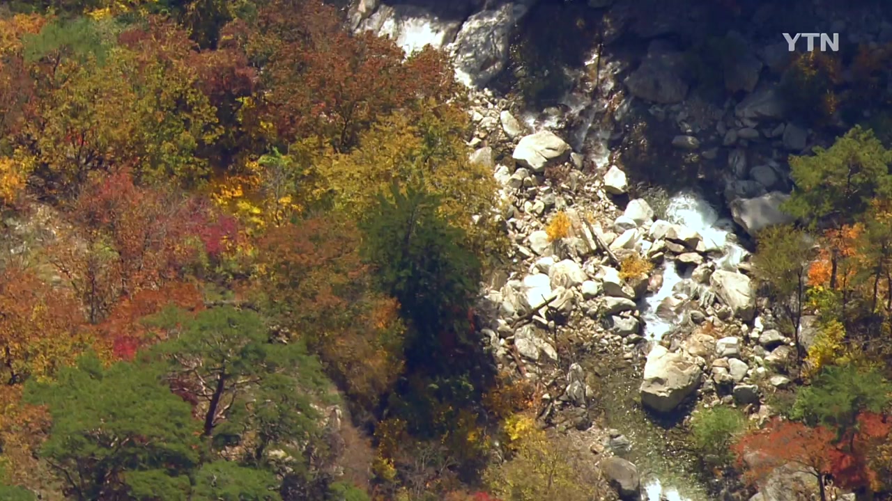 [영상] 가을빛 물든 설악산...오색단풍 절정