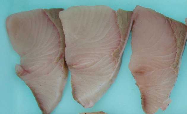 일본에서 방어에 초콜릿 먹여 키우는 양식법 나와