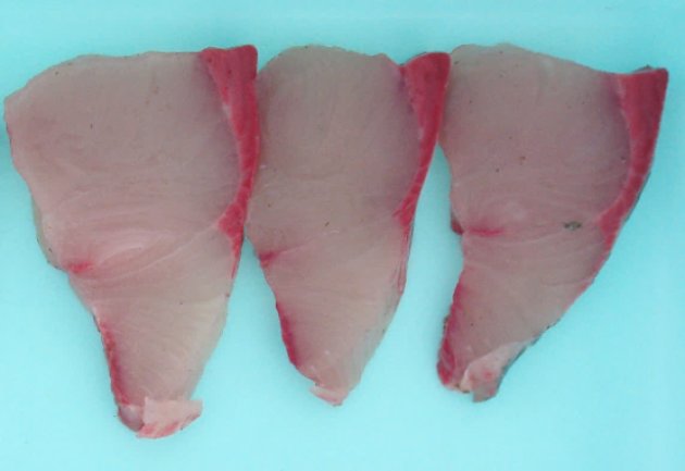 일본에서 방어에 초콜릿 먹여 키우는 양식법 나와