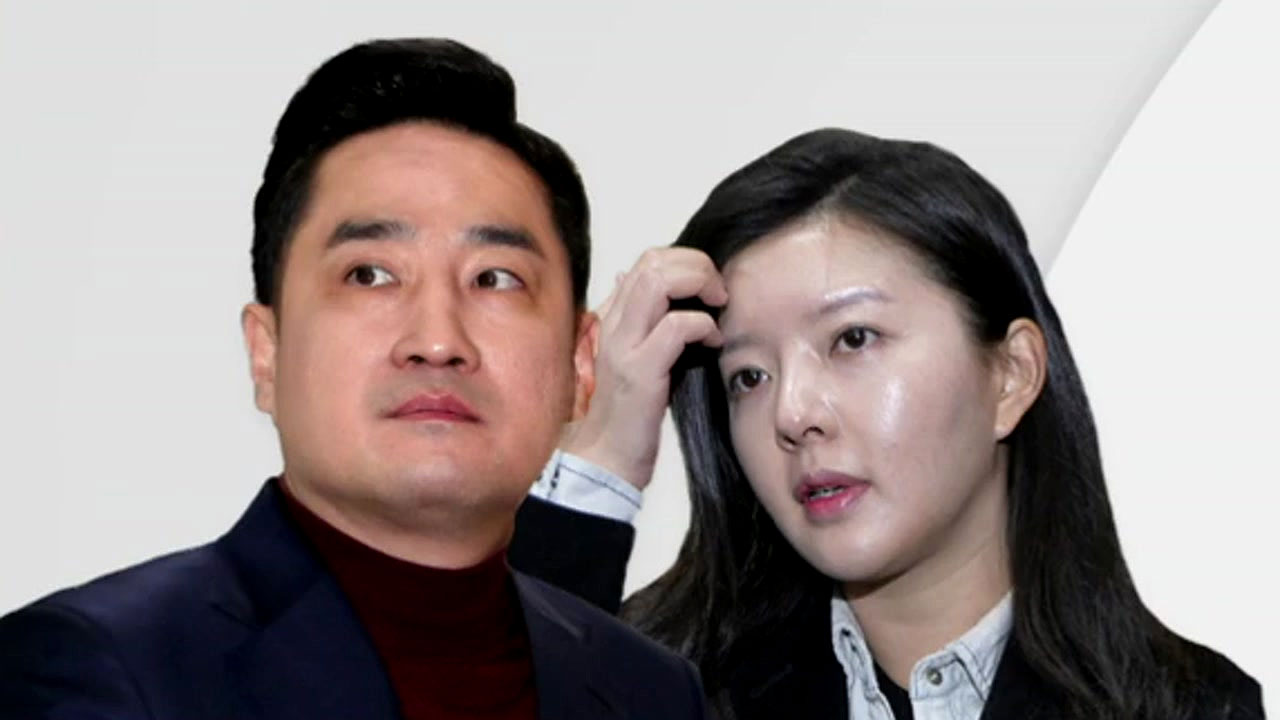 강용석 법정 구속...김부선 vs 이재명 소송 향방은?
