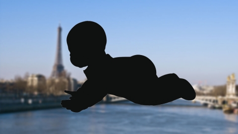 프랑스, '팔 없는 아기' 전국적 실태 조사