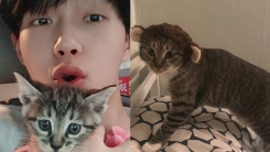 김용국, 반려묘 유기 논란에 "한차례 분양 보냈다가 다시 데려온 것" 김용국, 반려묘 유기 논란에 "한차례 분양 보냈다가 다시 데려온 것"