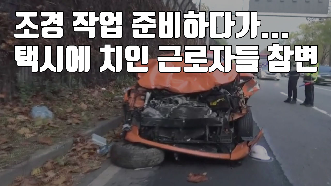 [자막뉴스] 조경 작업 준비하다가...택시에 치인 근로자들 참변