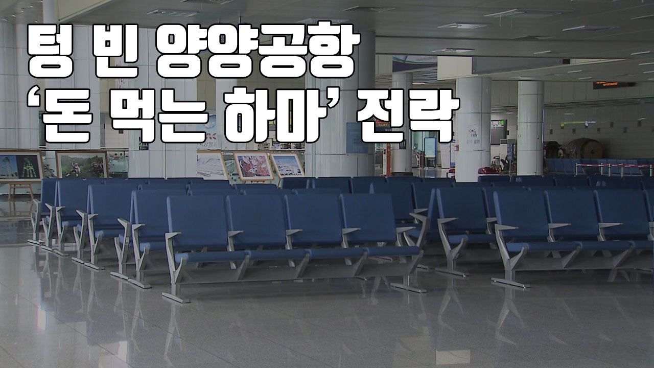 [자막뉴스] 텅 빈 양양공항 '돈 먹는 하마' 전락