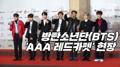 방탄소년단, 레드카펫을 런웨이로...AAA 레드카펫 현장 방탄소년단, 레드카펫을 런웨이로...AAA 레드카펫 현장