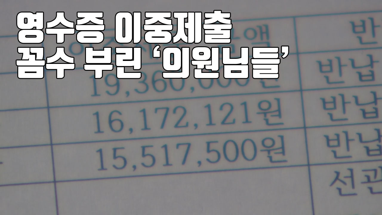 [자막뉴스] '영수증 이중제출'...꼼수 부린 '의원님들'