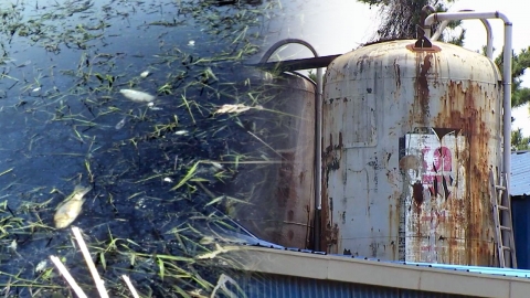 '집단 암 발병 마을' 인근 비료공장 불법 폐기물 확인
