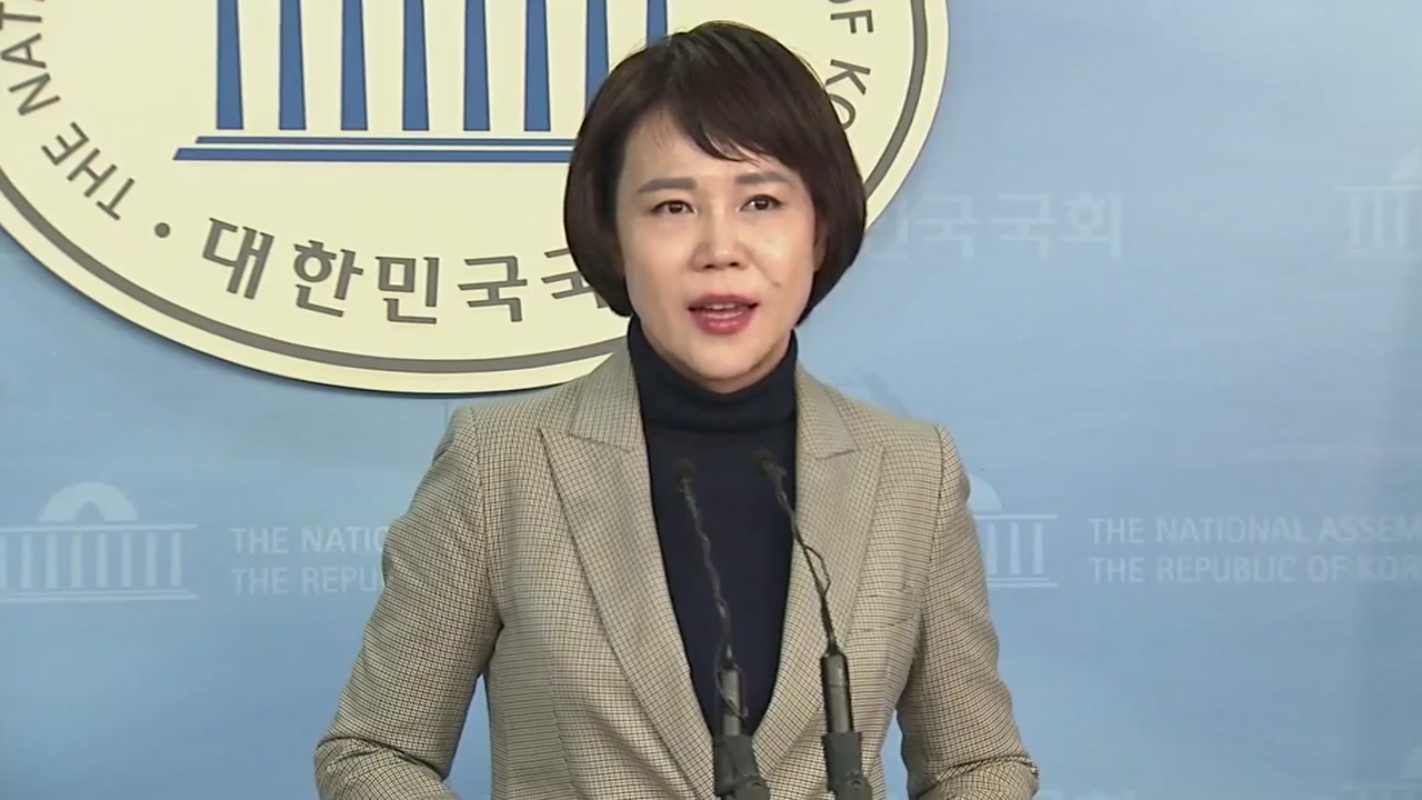[현장영상] 與 "카카오 카풀 시범 서비스 잠정 중단 결정"