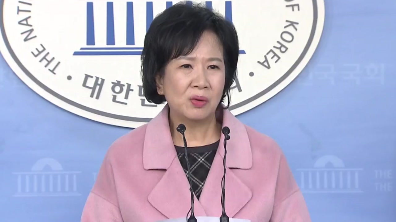 손혜원 부동산 투기 의혹...한국당 전당대회 '후끈'