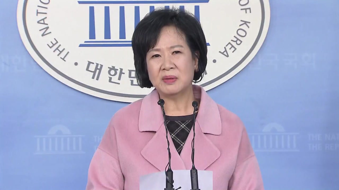 손혜원 부동산 투기 의혹...민주당 "당 차원 조사"