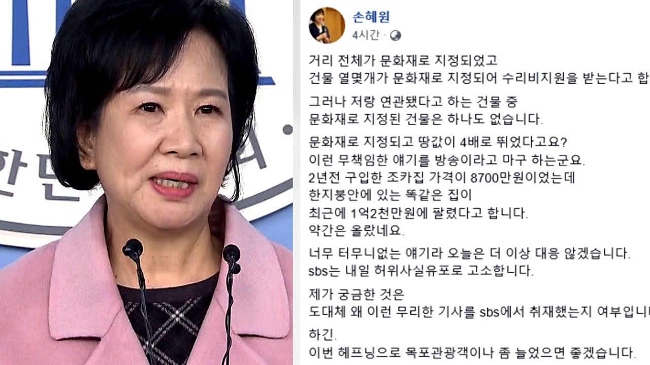 박지원 의원이 보는 '손혜원 의원 부동산 투기 의혹'