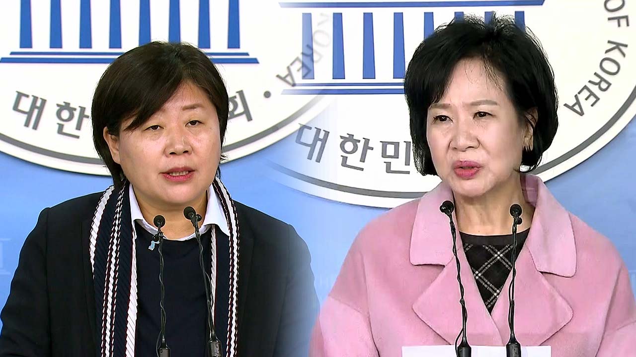 손혜원 서영교 '악재' VS 당권 놓고 '후끈'