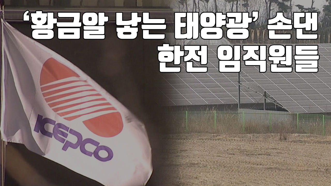 [자막뉴스] '황금알 낳는 태양광' 손댄 한전 임직원들