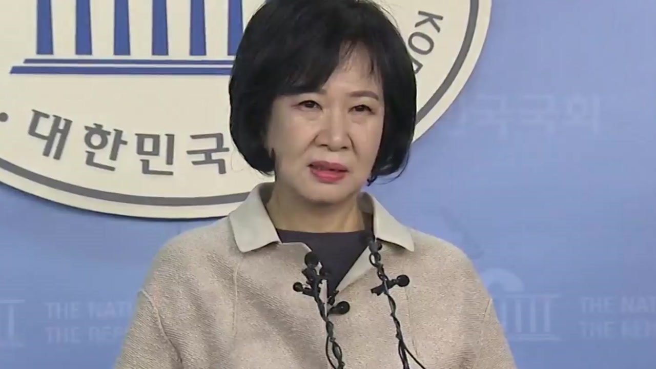 [현장영상] 손혜원 "당 지도부 만류에도 당적 포기" (기자회견 전문)