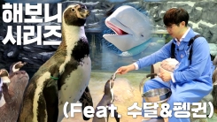 도심 속 작은 바다 지킴이, 아쿠아리스트 체험해보니(feat.수달)