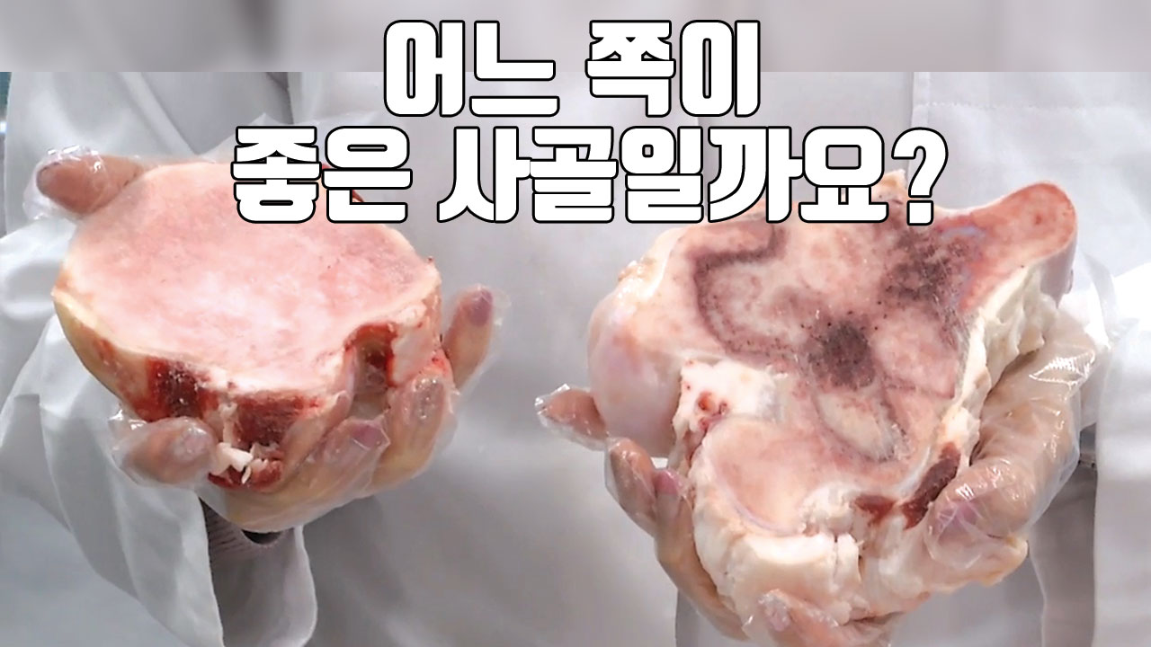 [자막뉴스] '좋은 소고기' 잘 고르는 법