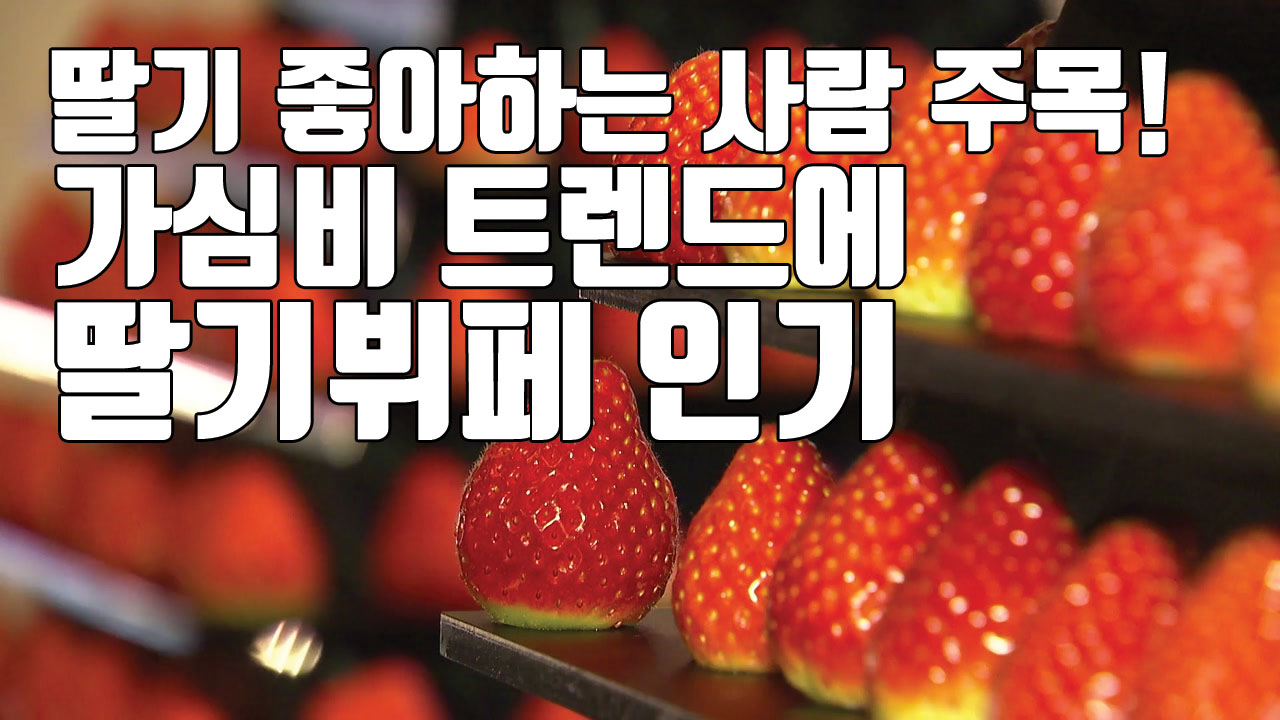 [자막뉴스] 딸기덕후 주목!...가심비 트렌드에 딸기뷔페 인기