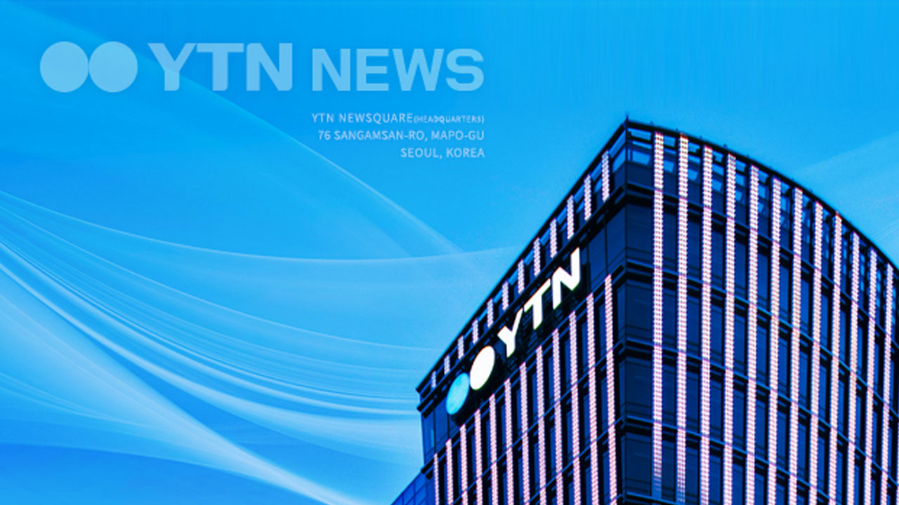 눈 속에서 꽁꽁 언 채 발견된 고양이 극적으로 구조