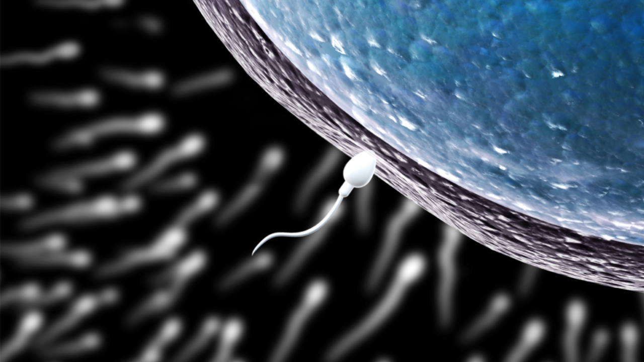 불임 클리닉 의사, 기증자 정자 바꿔치기... 생물학적 자녀 200명 추정