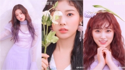 '아이즈원', 장원영·강혜원·야부키 나코 미니 2집 오피셜 포토 공개 '아이즈원', 장원영·강혜원·야부키 나코 미니 2집 오피셜 포토 공개