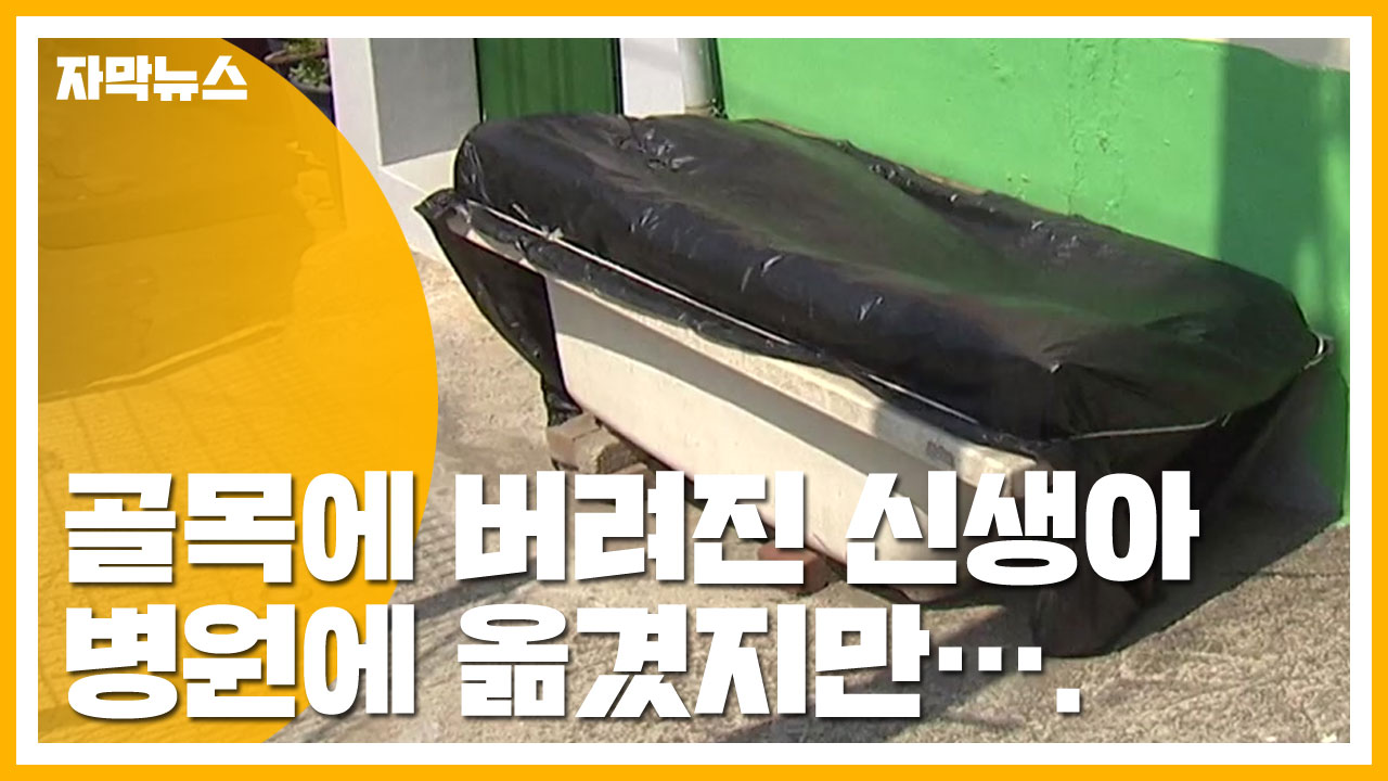 [자막뉴스] 인천 한 주택 골목에 버려진 신생아...결국 숨져