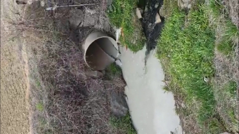  보령에서 머드 성분 폐수 하천에 유입