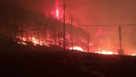 정부, 동해안 산불지역에 '재난사태' 선포