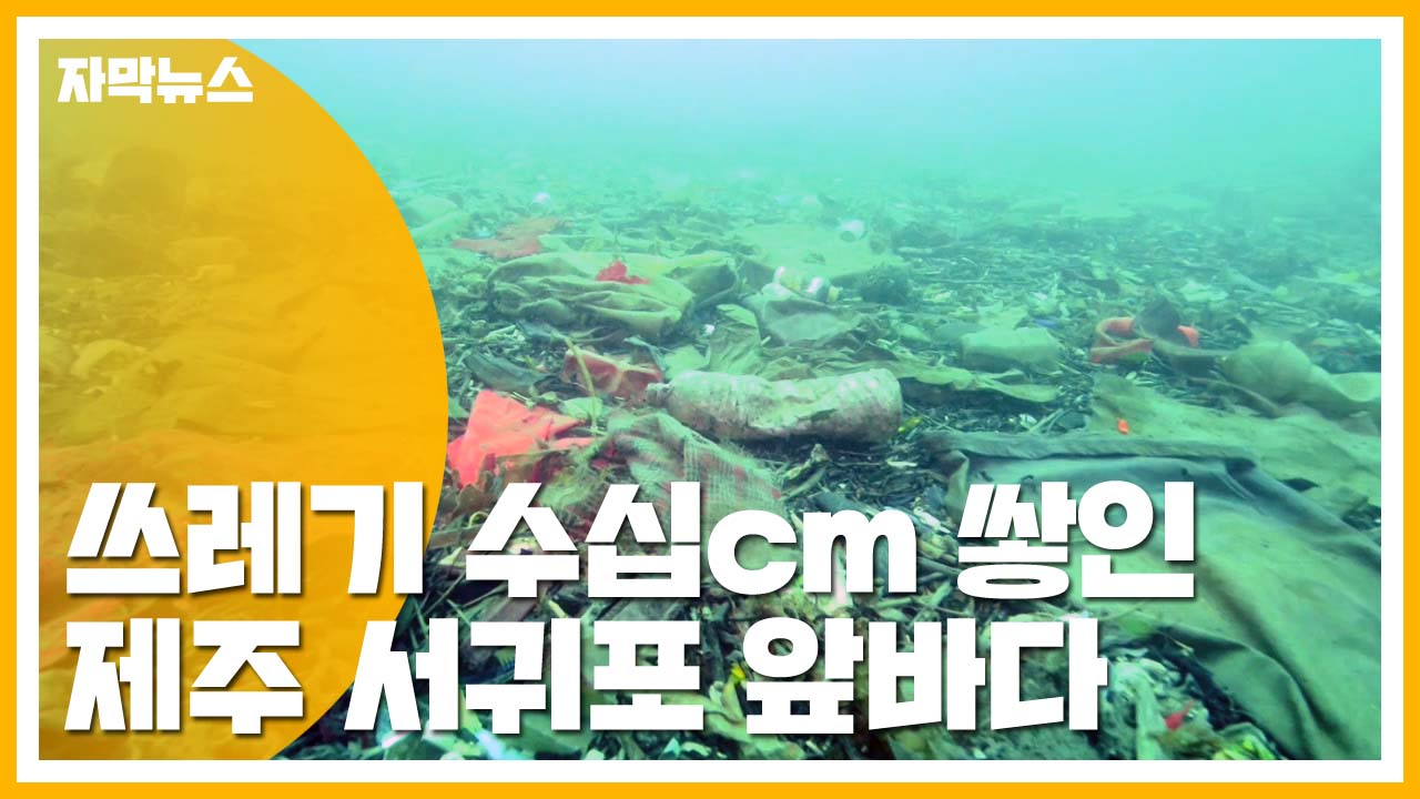 [자막뉴스] 생활 쓰레기 수십cm 뒤덮인 서귀포 앞바다