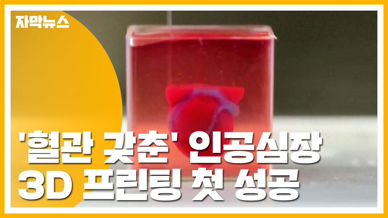 [자막뉴스] '혈관 갖춘' 인공심장 3D 프린팅 첫 성공