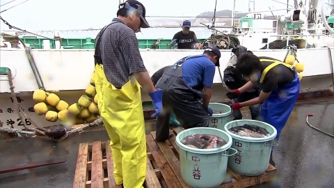 WTO분쟁해결기구, '일본산 수입규제 타당' 최종판정