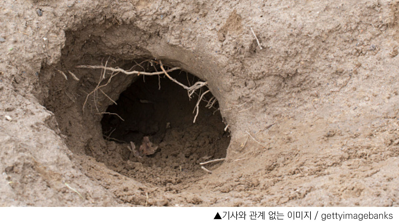 전 여친 스토킹하려고 땅굴 판 남성, 굴에 갇힌 채 발견돼