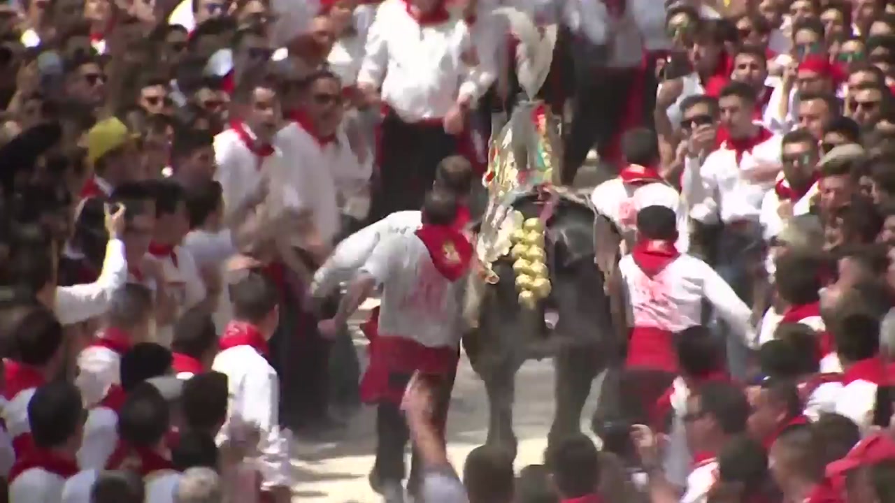 [영상] 스페인 이색 말 축제...관광객 '북적'