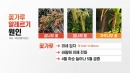 5월부터 기승 부리는 '꽃가루 알레르기'...원인은?