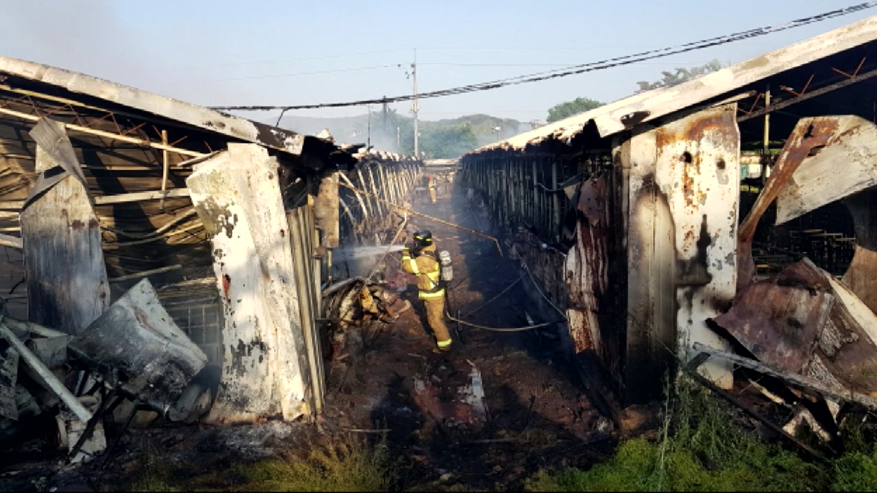 충남 홍성 돈사 화재...2억 9천여 만원 피해
