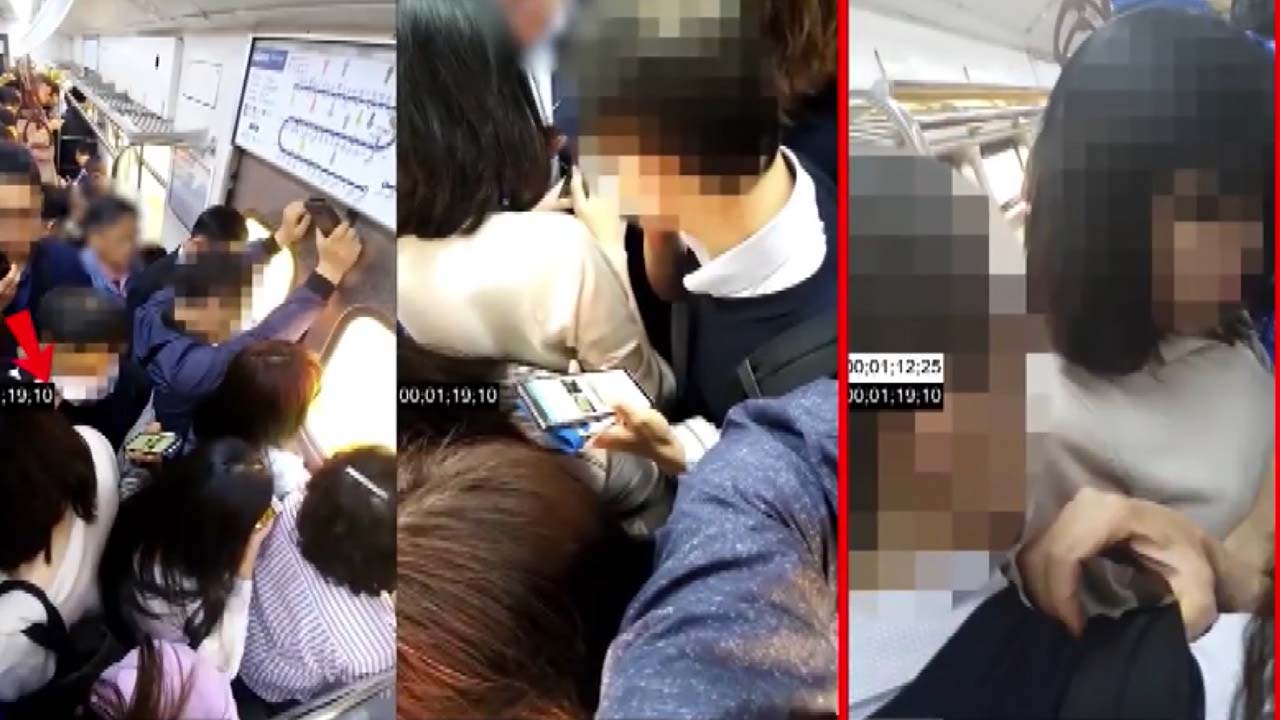 '성추행범으로 몰린 동생' 청원글에 법원 반박 "동종 범죄 경력"