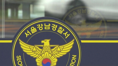 서울 '강남서' 경찰, 여성 피의자와 성관계 의혹...감찰 착수