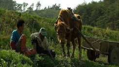 독립영화 '워낭소리' 주인공 이상순 할머니, 18일 별세 독립영화 '워낭소리' 주인공 이상순 할머니, 18일 별세
