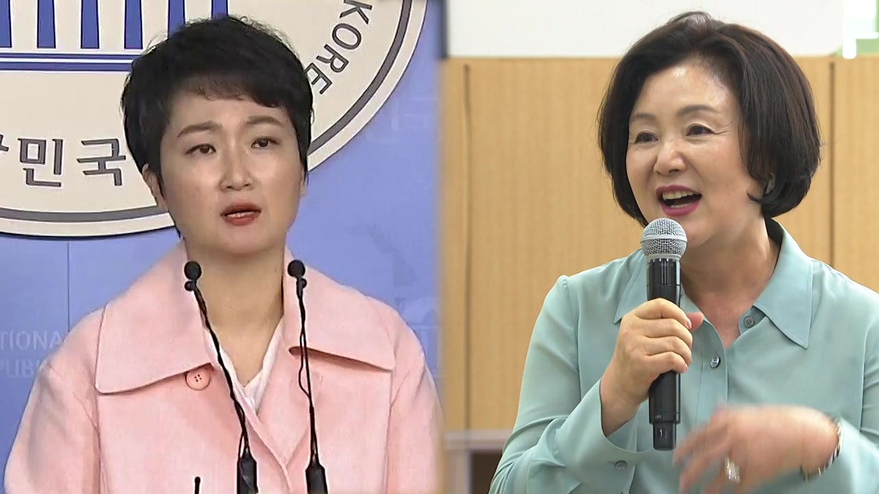 이언주 "영부인은 대통령 배우자일 뿐, 정신 차려라"...날 선 비판