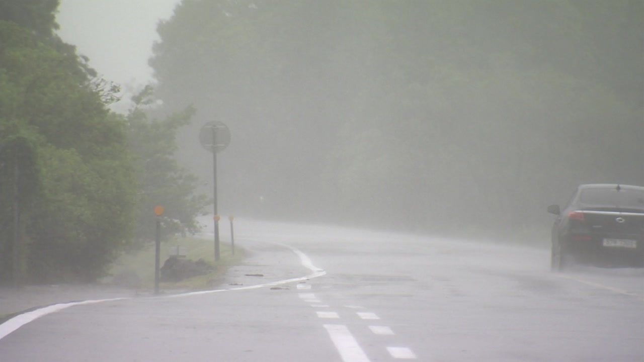 [날씨] 올해 첫 장마...수도권은 늦은 오후부터 비