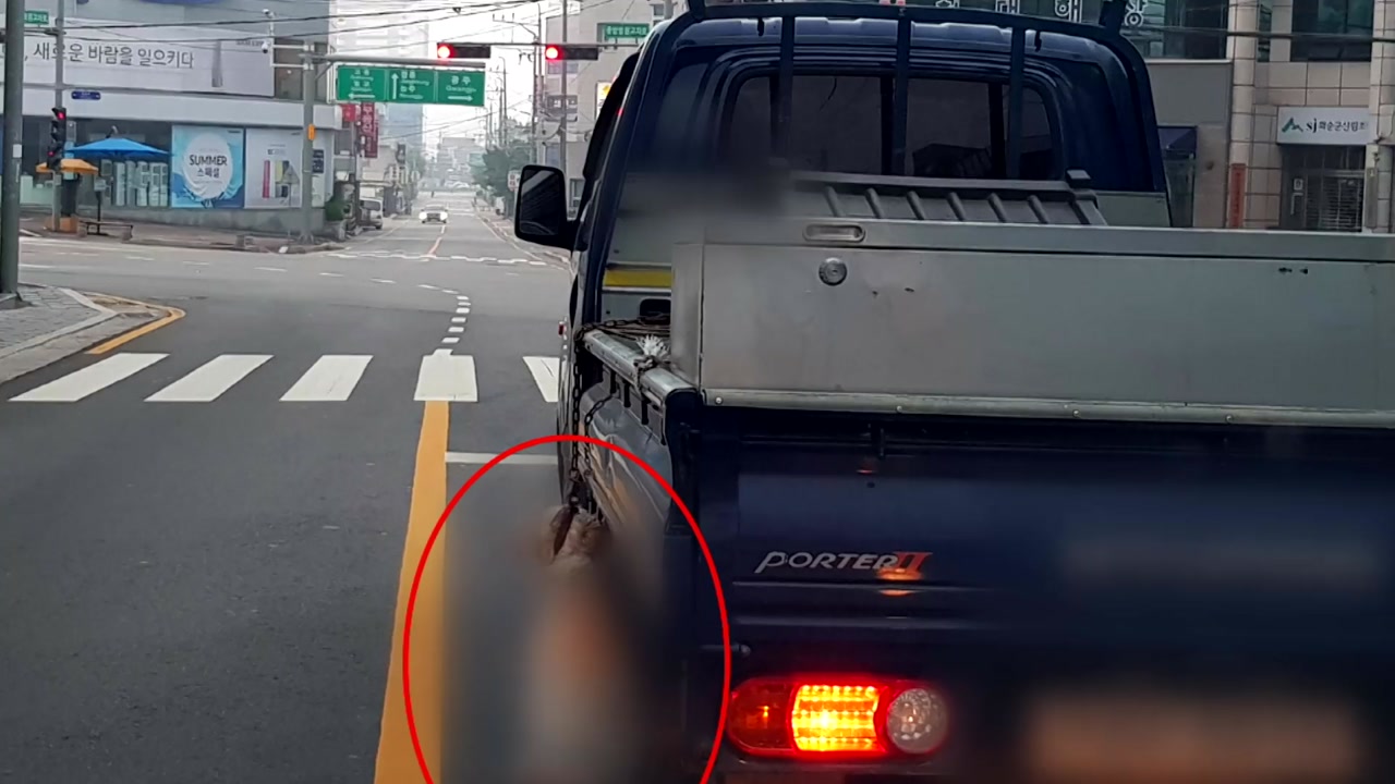 [영상] 달리는 트럭에 개 매달고 '질질'