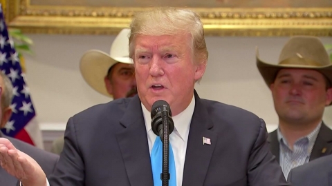 트럼프 "DMZ에서 김정은 만나 인사할 수 있을 것"