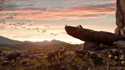 '라이온 킹', IMAX·4DX 등 예매 오픈...전설을 경험하라 '라이온 킹', IMAX·4DX 등 예매 오픈...전설을 경험하라