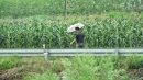 오늘 곳곳 강한 소나기...무더위, 서울 31℃