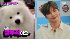 '한밤' 강다니엘 "별명 사모예드, 가장 맘에 들어…내가 봐도 닮았다" '한밤' 강다니엘 "별명 사모예드, 가장 맘에 들어…내가 봐도 닮았다"