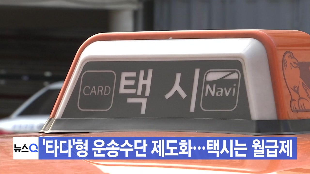 [YTN 실시간뉴스] '타다'형 운송수단 제도화...택시는 월급제