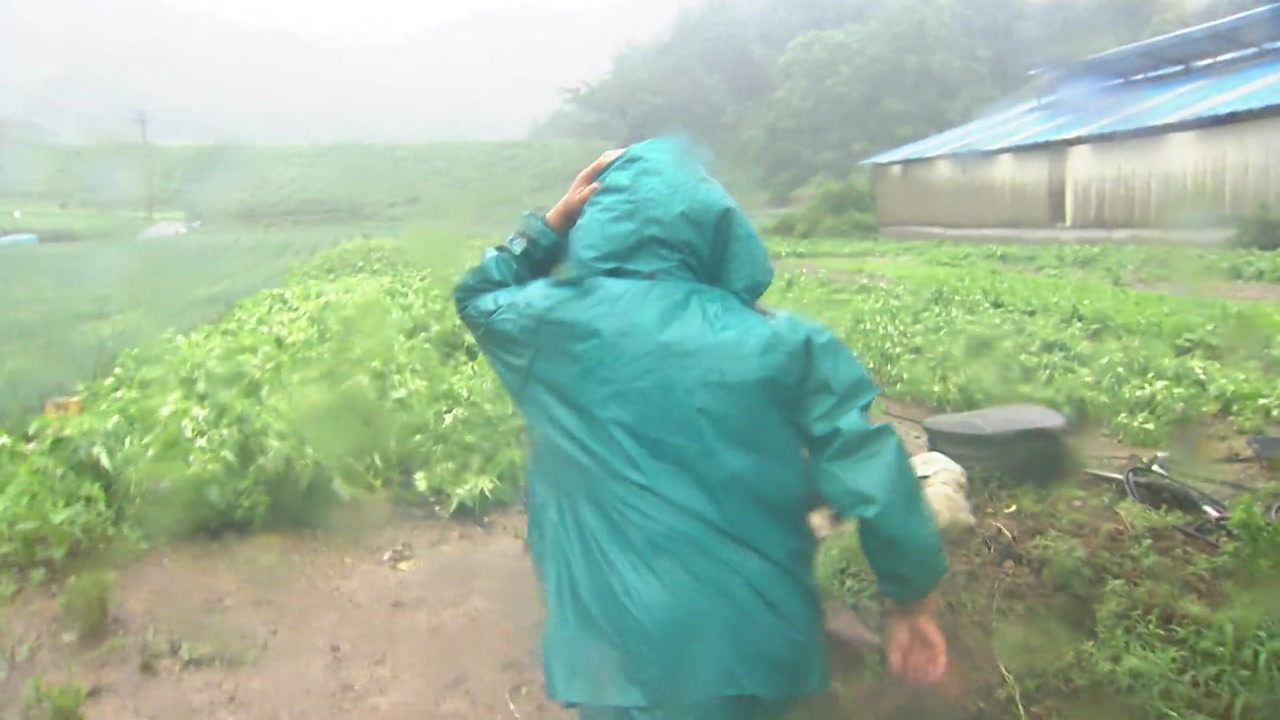 [날씨] 태풍 '다나스' 약화했지만 폭우는 경계...다음 주 전망은?